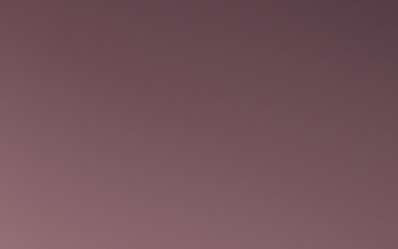 Intimité prune — 2